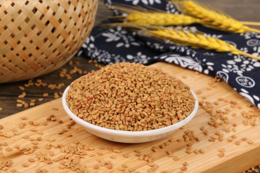 Fenugreek